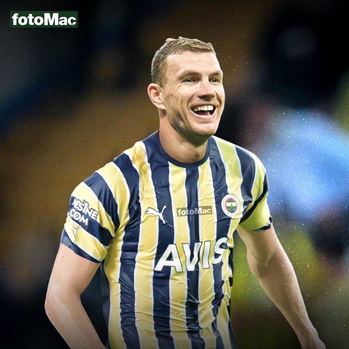 CHUTOGEL - Gol Terbaik Dzeko dalam Fenerbahce vs Bodrumspor